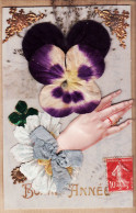 27450 / ⭐ Superbe Celluloid BONNE ANNEE 1910s Ajouti Herbe Naturelle Ruban Tissu Violette Feutrine Dorrure à CASTAGNIE - New Year