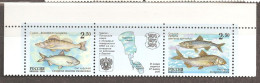 Russia: Full Set 2 Mint Stamps In Strip With Label, Fish Of Chudsko-Pskovskoye Lake, 2000, Mi#861-862, MNH. Join Issue - Gezamelijke Uitgaven