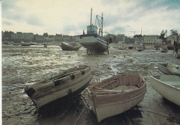 Saint Quay Portrieux Le Port A Marée Basse Bateaux Boats - Autres & Non Classés