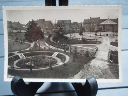 Cpsm ALBERT Jardin Public 1951 - Albert