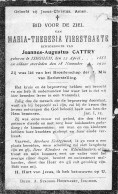 Doodsprentje / Image Mortuaire Maria Theresia Vierstraete - Joannes Cattry Izegem 1855-1920 - Obituary Notices
