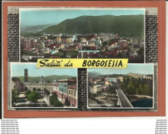 Borgosesia (VC) - Viaggiata - Other & Unclassified