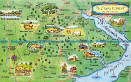 R069736 The New Forest. Old Yet Ever New. A Map. Salmon - World