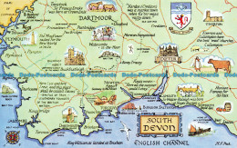 R069737 South Devon. A Map. Salmon - World