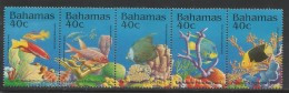 1994 Bahamas Marine Life Fish Complete Set Of 5 MNH - Bahama's (1973-...)