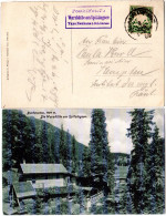 Bayern 1908, Wurzhütte Am SPITZINGSEE Taxe Neuhaus B. Schliersee Auf AK M. 5 Pf  - Lettres & Documents