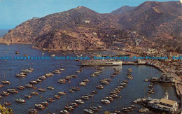 R069824 The Bay At Avalon. Catalina Island. Geo E. Watson - World