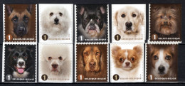 4383/4392 MNH** 2014 - Honden Naderbij - Unused Stamps