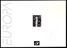 Zwart Wit Velletje 2000 - Europa De Opbouw Van Europa 2922 -1 - Schwarz-weiß Kleinbögen [ZN & GC]
