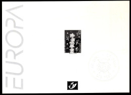 Zwart Wit Velletje 2000 - Europa De Opbouw Van Europa 2922 - B&W Sheetlets, Courtesu Of The Post  [ZN & GC]