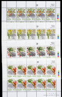 Namibia/Namibie 1997 - Flora - Trees - 4 Complete Full Sheets - MNH** - Excellent Quality - Superb*** - Namibie (1990- ...)