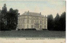 Sainte-Marie-sur-Semois Le Château Colorée Et  Circulée En 1907 - Etalle
