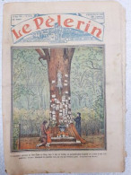 Revue Le Pélerin N° 2825 - Unclassified