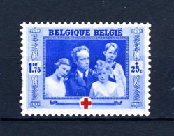 501 MH 1939 - 75e Verjaardag Van Het Internationale Rode Kruis. - Neufs