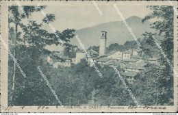 Ab708 Cartolina S.giuseppe Di Casto Panorama Provincia Di Biella - Biella