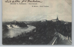 CH 8202 NEUHAUSEN Am Rheinfall SH, Hotel Terminus, Eisenbahn, 1907 - Neuhausen Am Rheinfall