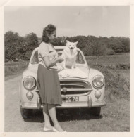 PHOTO-ORIGINALE- UNE JEUNE FEMME AVEC SON CHIEN ET L'AUTOMOBILE VOITURE ANCIENNE PEUGEOT 403 -1960 - Automobile