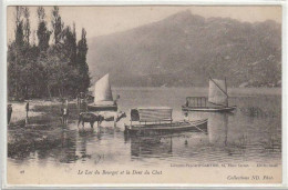 SAVOIE LAC DU BOURGET ET LA DENT DU CHAT TRAVERSEE DU BETAIL BEAU PLAN - Le Bourget Du Lac