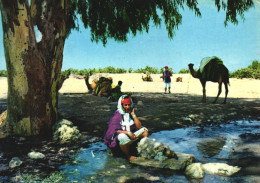 CAMEL, WOMAN, TUNISIA, POSTCARD - Tunesien