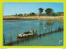 33 CAP FERRET N°8184 Vue D'ensemble Prise De La Jetée En 1977 Phare Bassin D'Arcachon - Arcachon