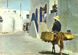 SIDI BOU SAID, ARCHITECTURE, MAN WITH HAT ON DONKEY, TUNISIA, POSTCARD - Tunesien