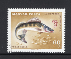 HONGARIJE Yt. 1911° Gestempeld 1967 - Used Stamps