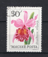 HONGARIJE Yt. 1767° Gestempeld 1965 - Used Stamps