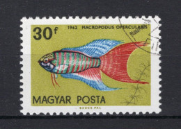HONGARIJE Yt. 1496° Gestempeld 1962 - Used Stamps