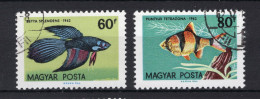HONGARIJE Yt. 1498/1499° Gestempeld 1962 - Used Stamps