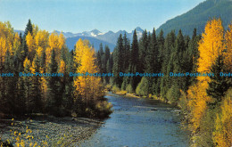 R071195 Beautiful British Columbia. Canada. A. D. Bennet. 1969 - Monde