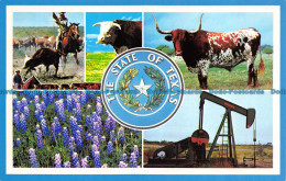 R069911 The State Of Texas. Multi View. Mike Roberts - World