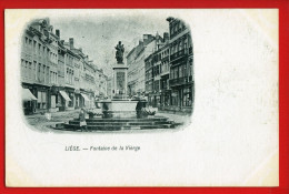 926 - BELGIQUE - LIEGE - Fontaine De La Vierge  - DOS NON DIVISE - Lüttich