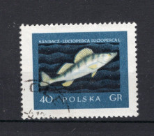 POLEN Yt. 928° Gestempeld 1958 - Used Stamps