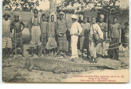 CONGO Français - Capture Inouï D'un Caïman De 5m. De Long à La Plage - Son Agonie - Maison Ancel - Frans-Kongo
