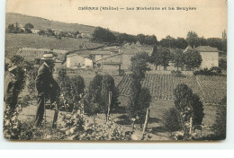 CHENAS - Les Michelons Et La Bruyère - Vignes - Vin - Chenas