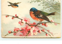 C. Klein - Deux Oiseaux Sur Une Branche Fleurie - Klein, Catharina