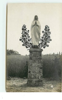 BRIXEN - Jesus House Orphanage N°10 - Vierge Marie Les Branches Sont En Fer Et Chaque Rose Contient Une Lampe électrique - Bolzano