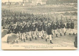 ANTIBES - Compagnies De Débarquement De L'Armée Navale Pendant La Revue D'Honneur ... - N°14 - Otros & Sin Clasificación