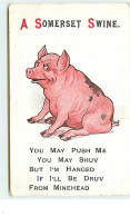 A Somerset Swine - Cochon En Colère - Pigs