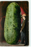 California - This Is How Watermelons Grow In California - Homme Près D'un Cornichon Géant - Other & Unclassified