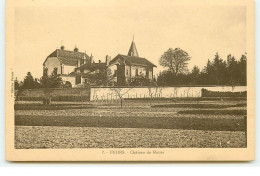 FEURS - Château Du Rozier - Feurs