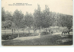 ETRECHY - Haras De Fontaine-Liveau - La Prairie - Etrechy