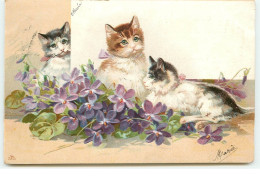 Chats Parmi Des Fleurs - Chats