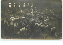 Carte-Photo - PARIS I - Halles Centrales - Animaux - District 01