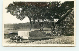 Carte Photo - COCHEREL - Tombe D'Aristide Briand - Other & Unclassified