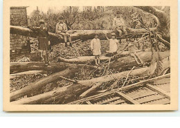 ILE MAURICE - Après Le Cyclone De Mars 1931 - Mauricio