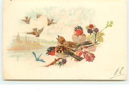 Oiseaux Et Libellule - Birds