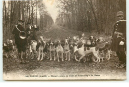NANGIS - Chasse à Courre En Forêt De Villefermoy - La Meute - Hunting