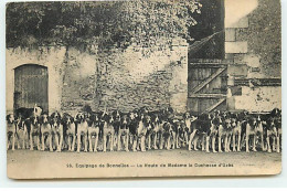 Chasse - Equipage De BONNELLES - La Meute De Madame La Duchesse D'Uzès - Hunting