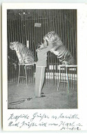 Spectacle - Cirque - Un Dresseur Avec Des Tigres - Circus Willy Hagenbeck - Circo